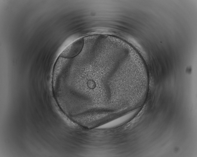 X0000101711378200808071212