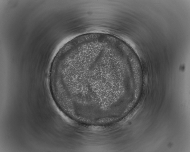X0000101711379200808071212