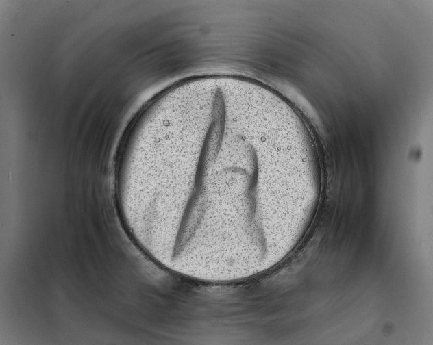 X0000101711380200808071212