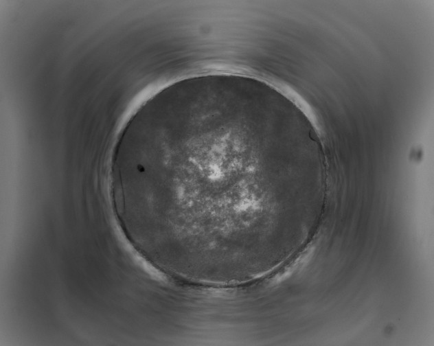 X0000101711381200808071212
