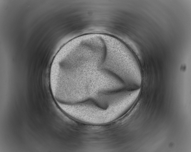 X0000101711382200808071212