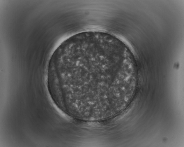 X0000101711383200808071212