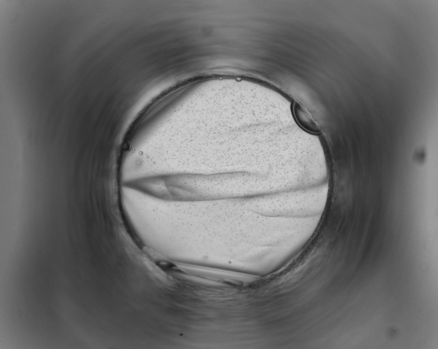 X0000101711384200808071212