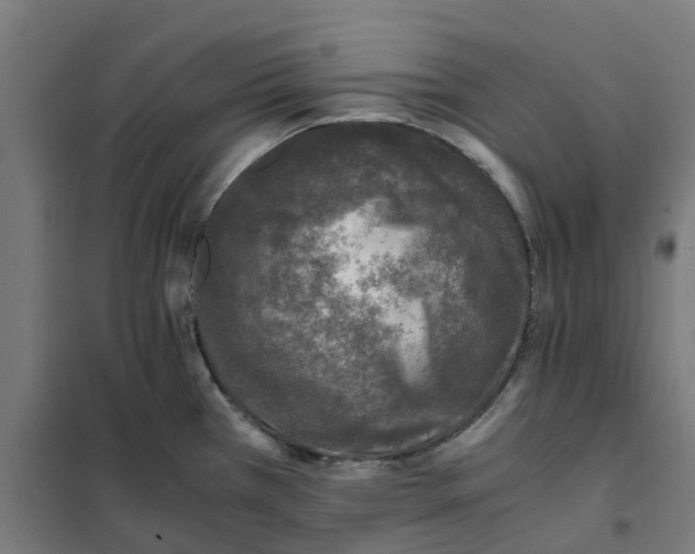 X0000101711385200808071212