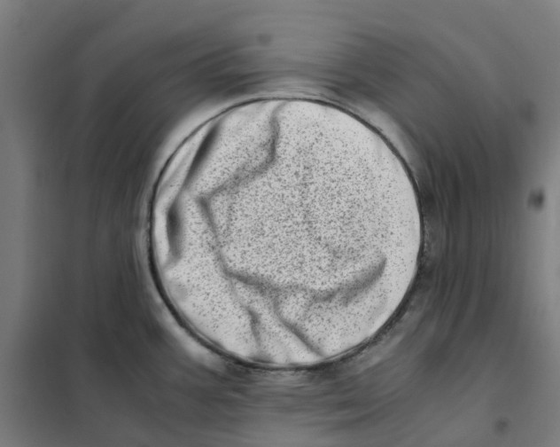 X0000101711387200808071212
