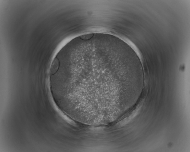 X0000101711389200808071212