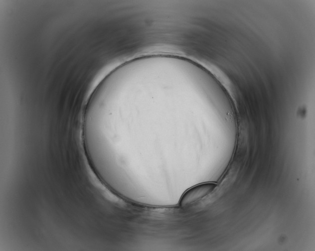 X0000101711390200808071212
