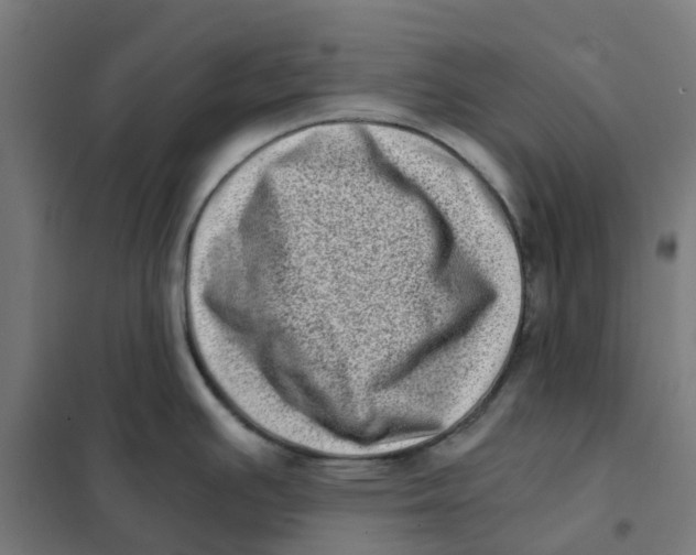 X0000101711391200808071212
