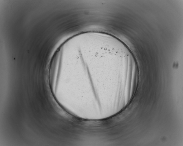 X0000101711392200808071212