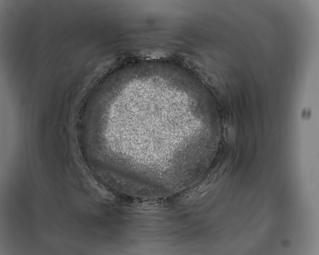 X0000101711393200808071211