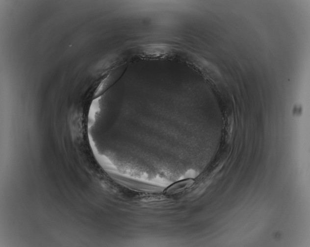 X0000101711394200808071211