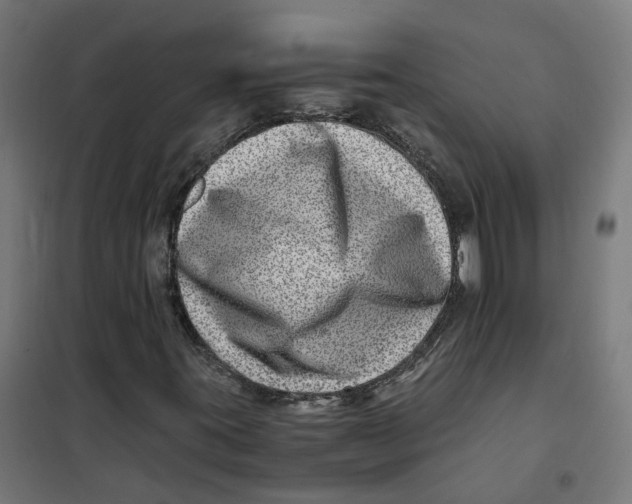 X0000101711395200808071212