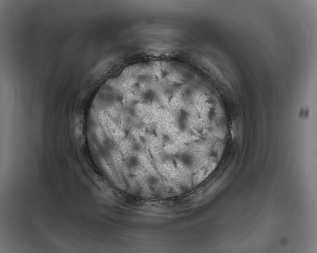 X0000101711396200808071212