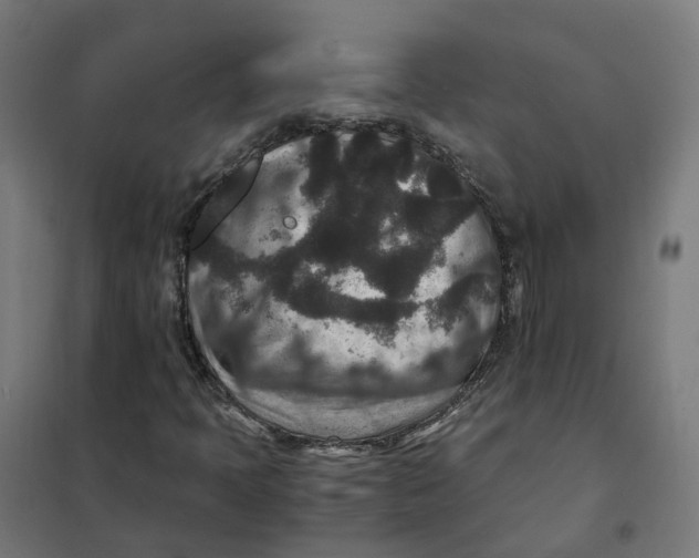 X0000101711397200808071212