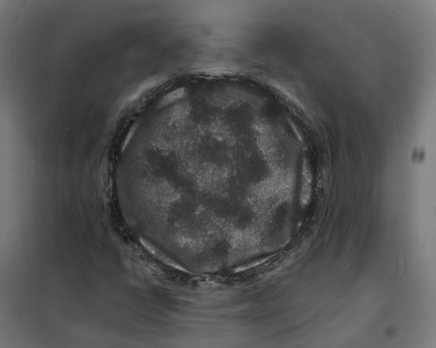 X0000101711398200808071212