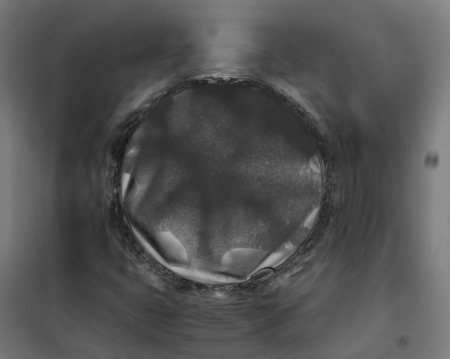 X0000101711399200808071212