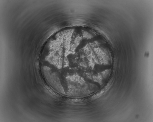 X0000101711401200808071212