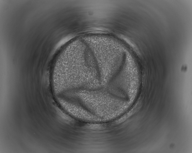 X0000101711402200808071212