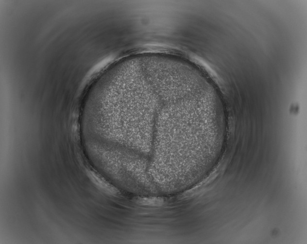 X0000101711403200808071212