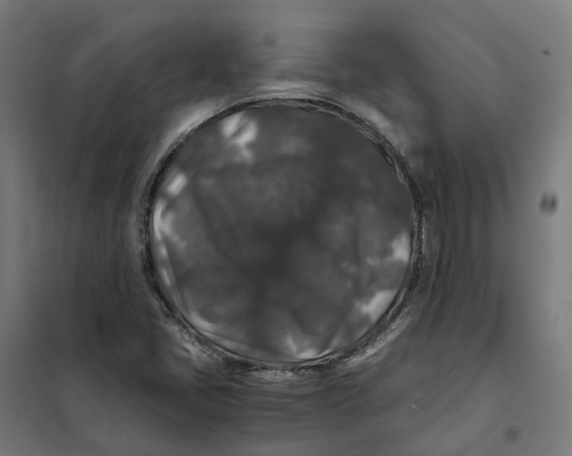 X0000101711405200808071212