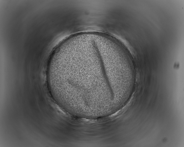 X0000101711407200808071212