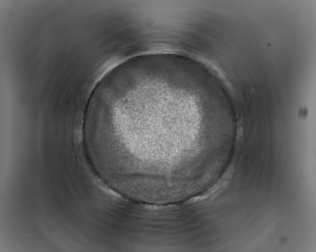 X0000101711409200808071212