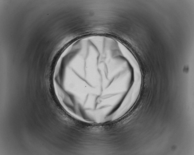 X0000101711410200808071212