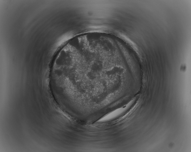 X0000101711411200808071212