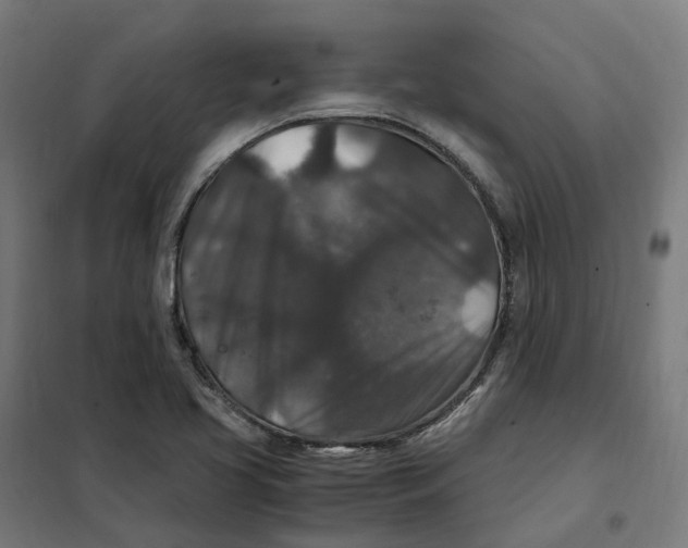 X0000101711413200808071212