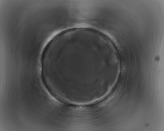 X0000101711414200808071212