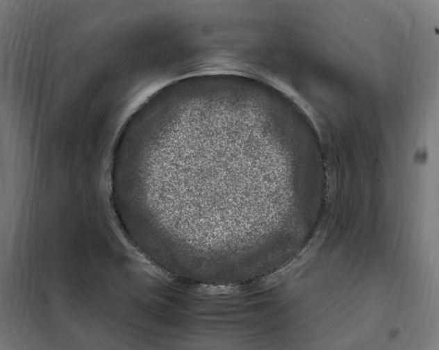 X0000101711415200808071212