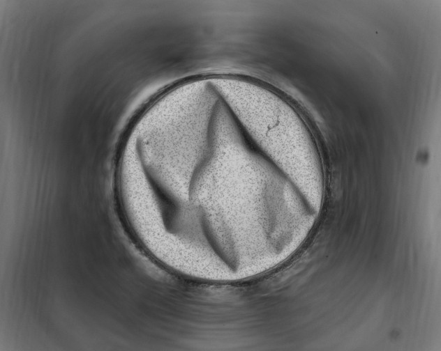 X0000101711416200808071212