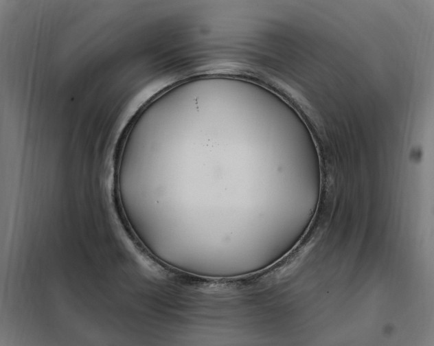 X0000101711418200808071212