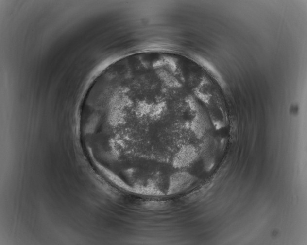 X0000101711419200808071212