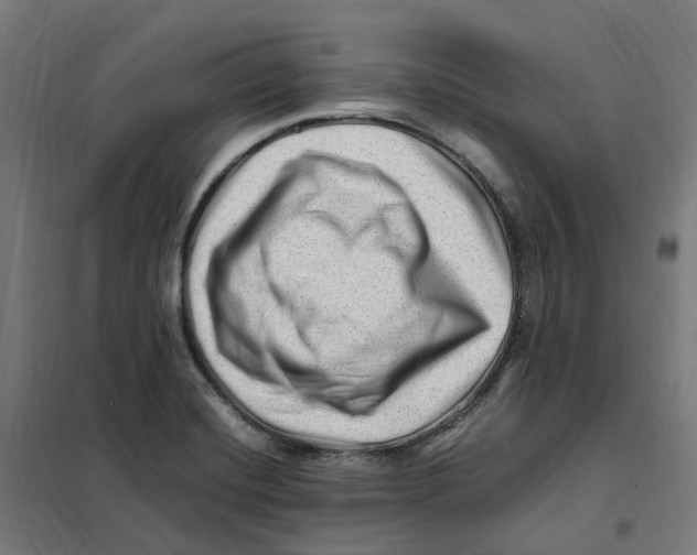 X0000101711420200808071212