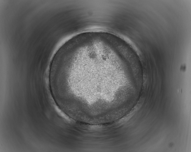 X0000101711421200808071212
