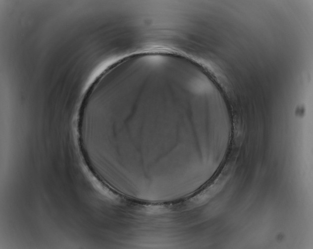 X0000101711422200808071212