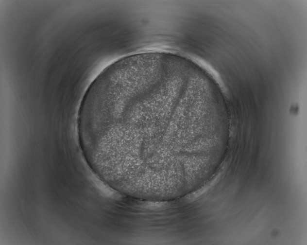 X0000101711423200808071212