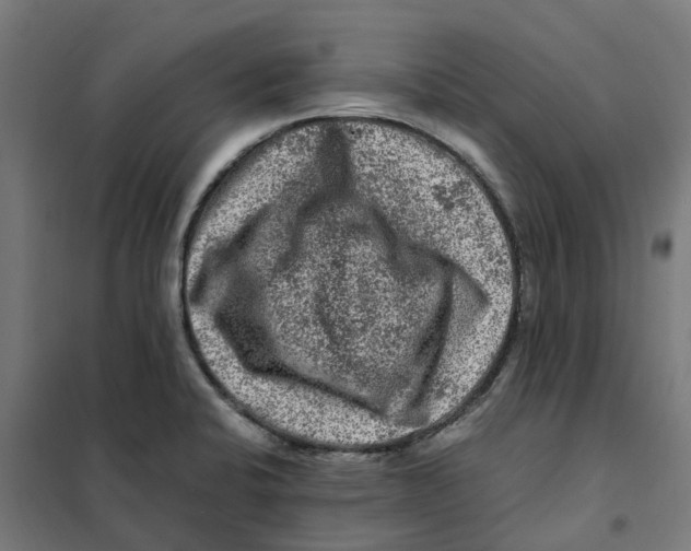 X0000101711424200808071212