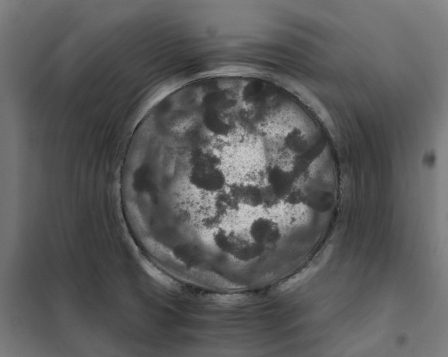 X0000101711425200808071212