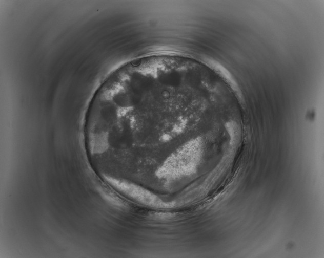 X0000101711427200808071212