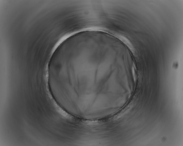 X0000101711428200808071212