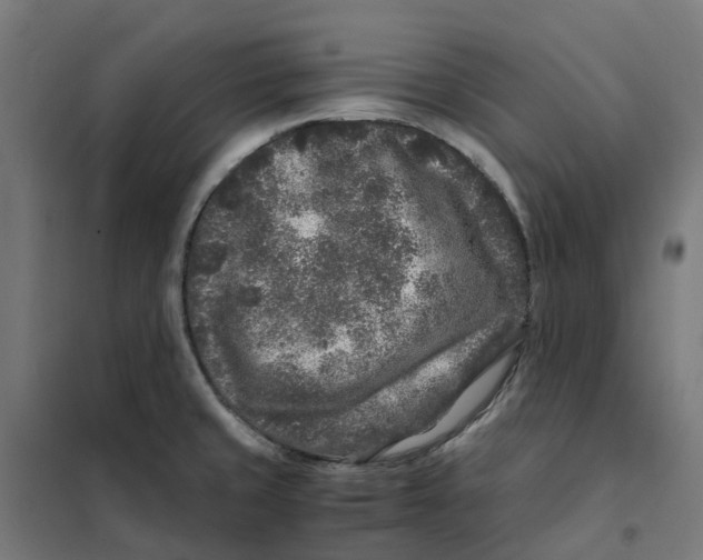X0000101711429200808071212