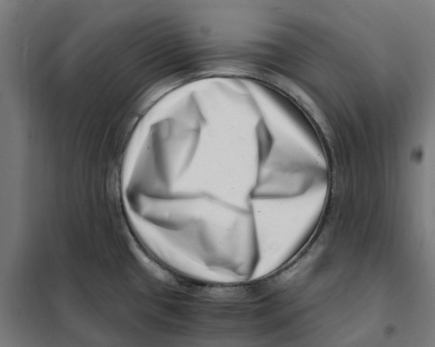 X0000101711433200808071212