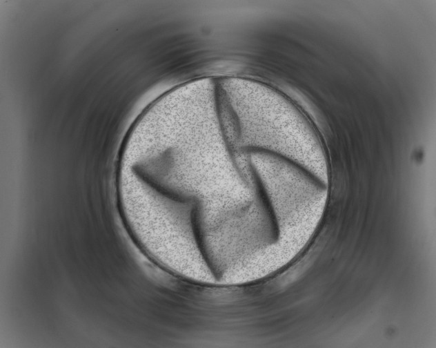 X0000101711434200808071212