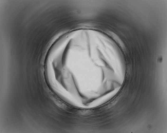 X0000101711435200808071212
