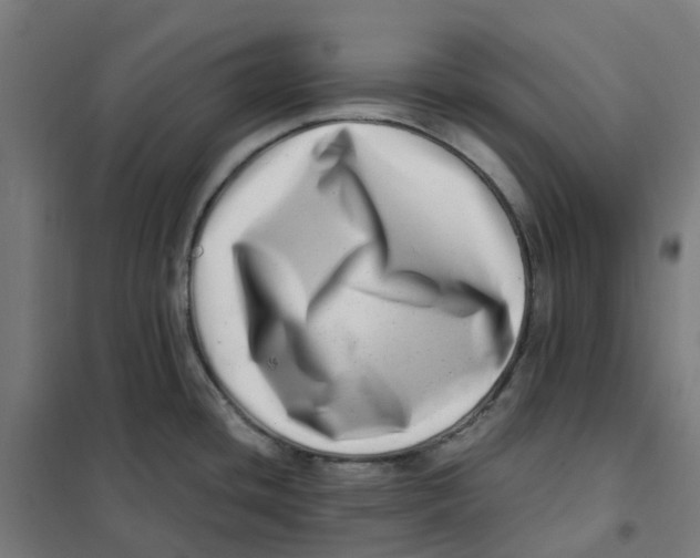 X0000101711436200808071212