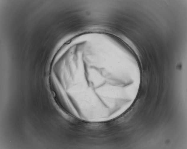 X0000101711437200808071212