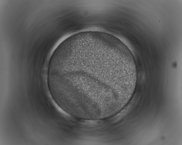X0000101711438200808071212