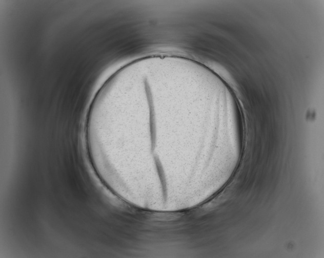 X0000101711440200808071212